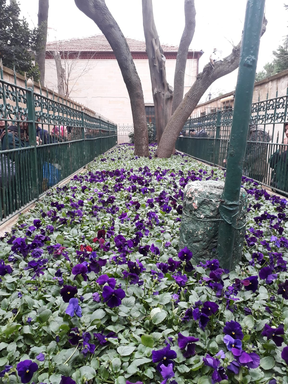 KURSUMUZUN DÜZENLEDİĞİ TÜRBE ZİYARETLERİ