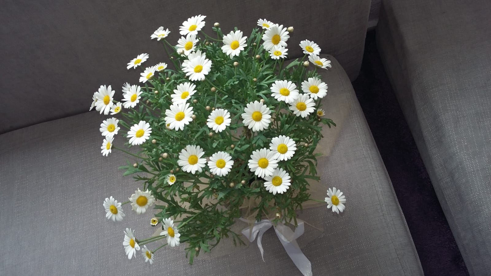 KURSUMUZUN DÜZENLEDİĞİ TÜRBE ZİYARETLERİ