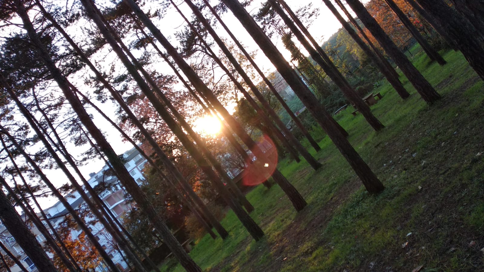 GEZİ ,PİKNİK VE MANGAL ETKİNLİKLERİ 